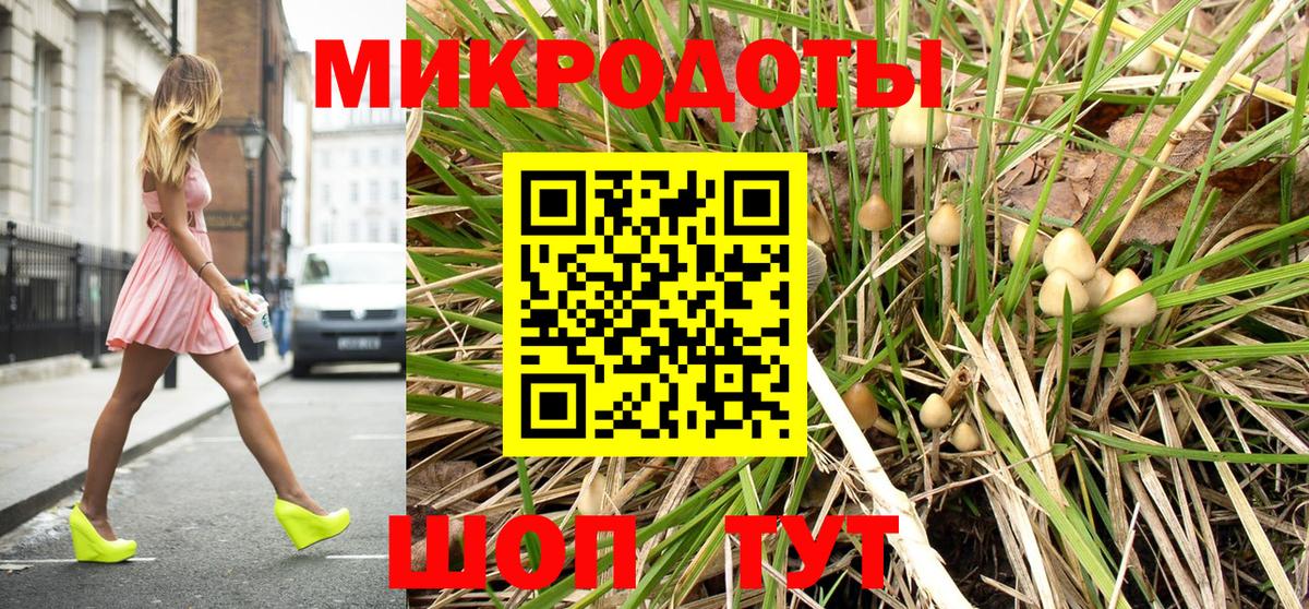Псилоцибиновые грибы GOLDEN TEACHER  Вход с VPN  Заводоуковск 